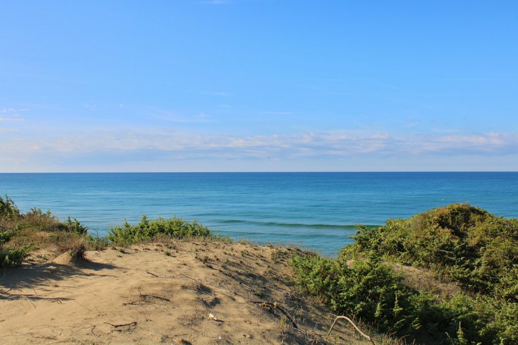 Rochelongue, le quartier de notre agence au Cap d’Agde